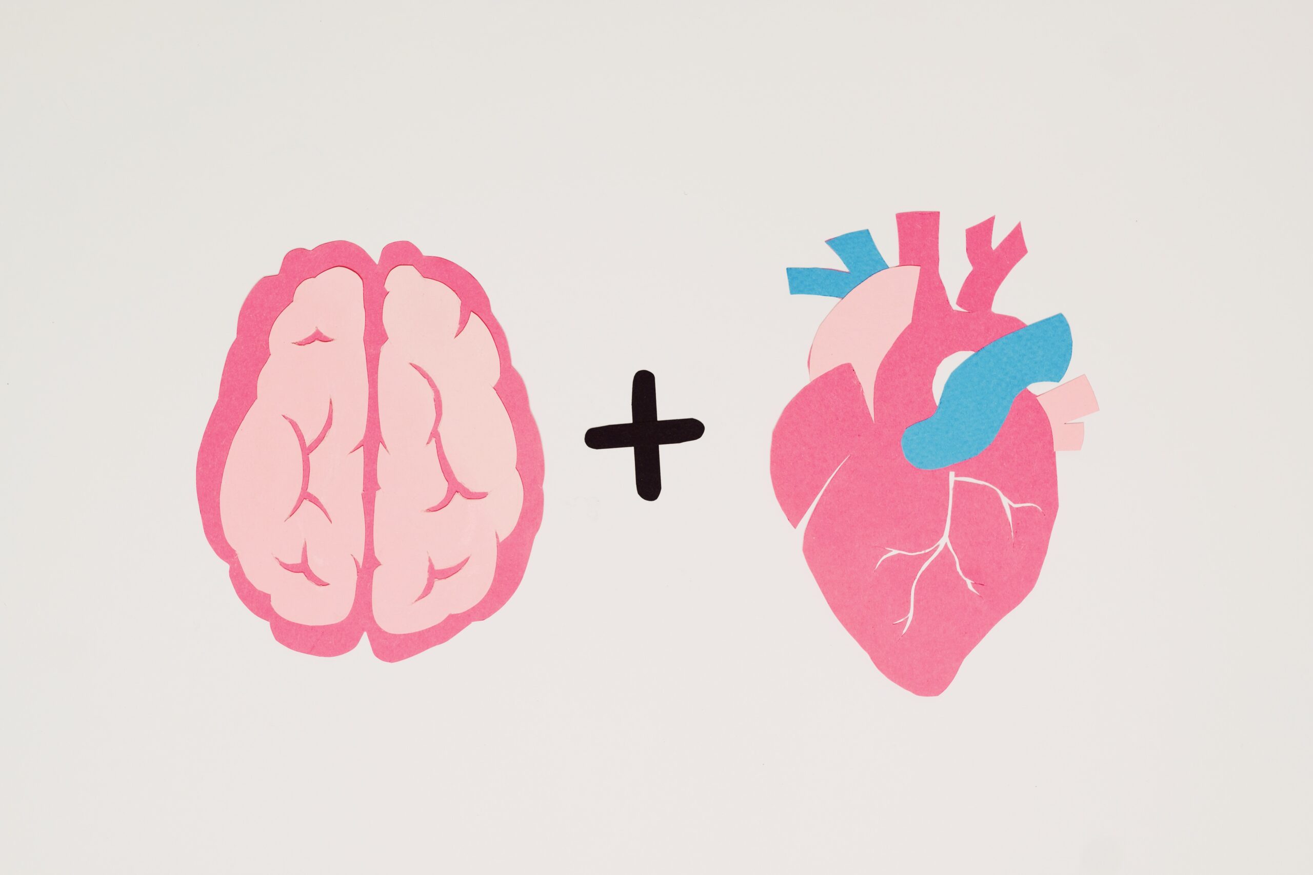 brain plus heart equation