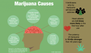 effects of THC on the brain